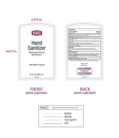 Hand Sanitizer With Pump 32oz (Hand Sanitizer With Pump 32oz)